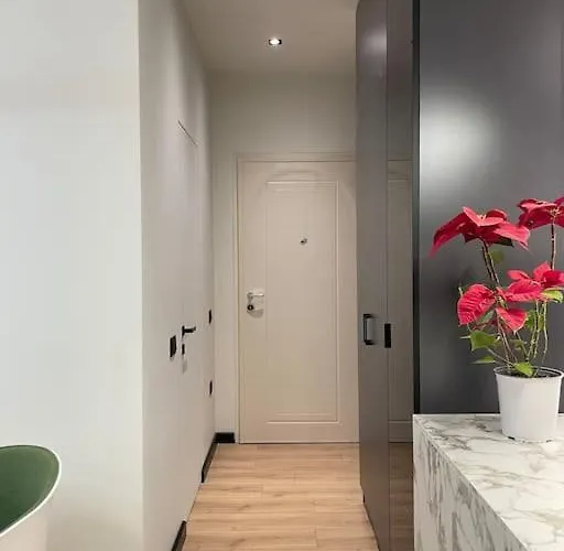 Angry Architects Apartment01 Tirana