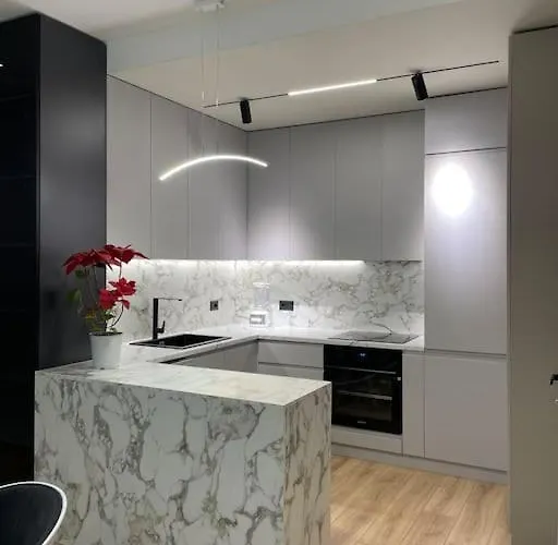 Daire Angry Architects Apartment01 Tiran